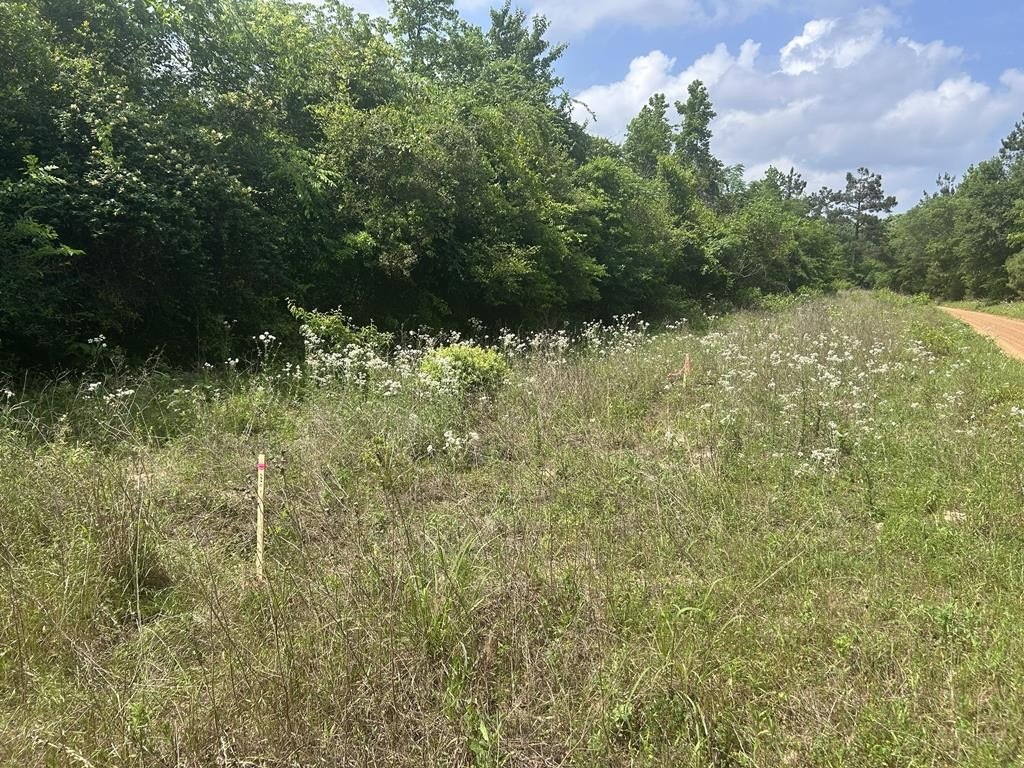 Garrison, TX Wooded Land Tract
