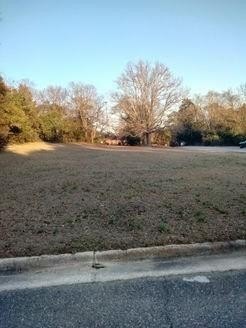 Picture 3