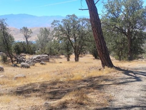 LAND - Wofford Heights, CA