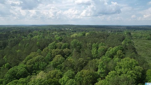 LAND - TALLADEGA, AL