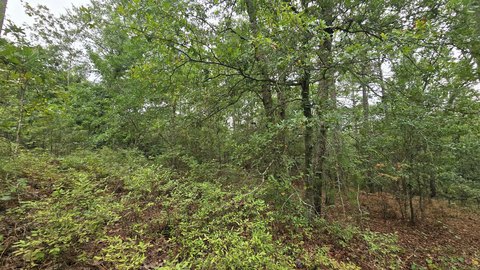 LAND - Aiken, SC