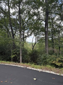 Vacant Lot, Blue Ridge, GA