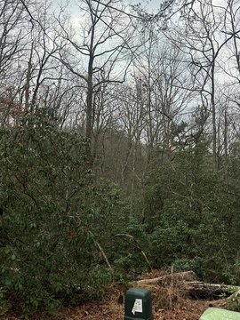 Vacant Lot, Blue Ridge, GA