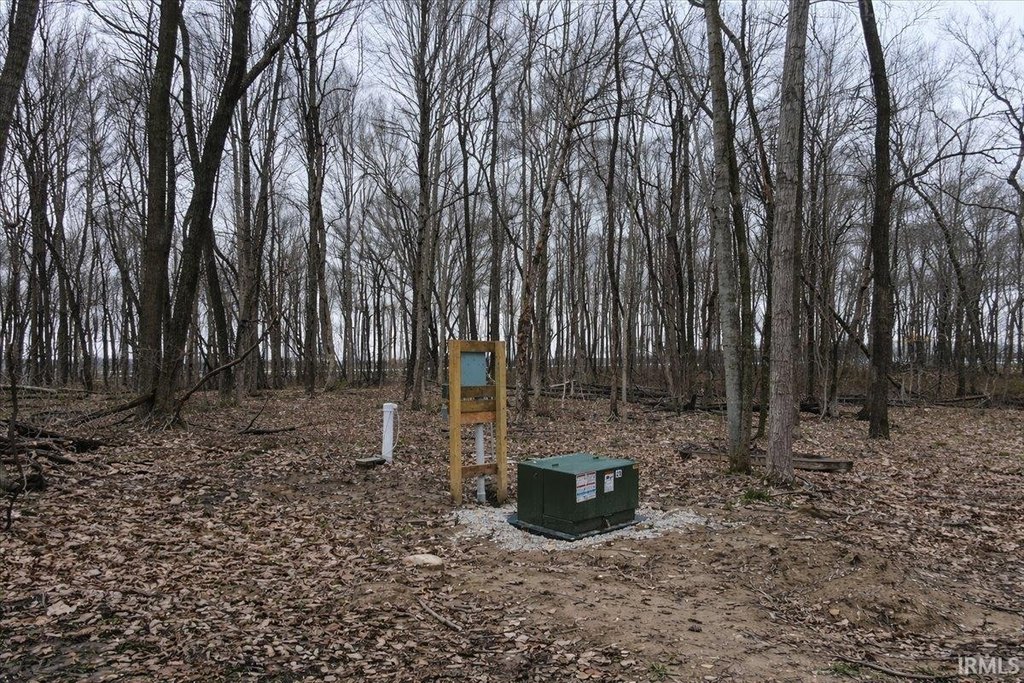 Picture 6
