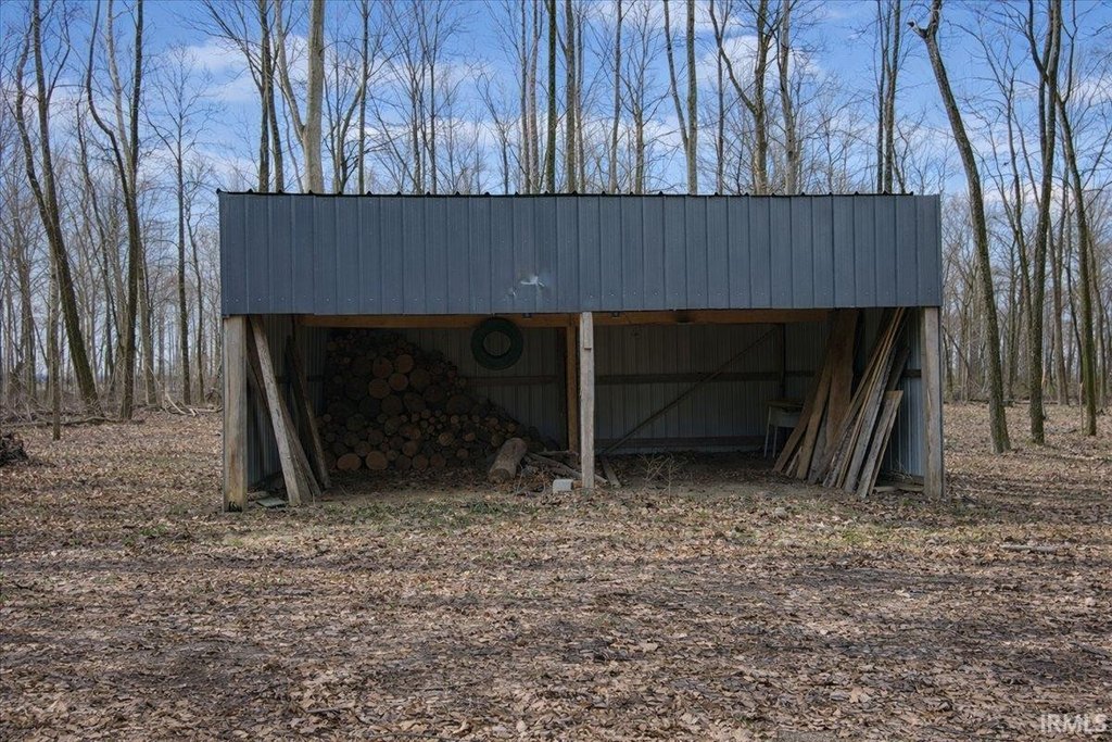 Picture 5