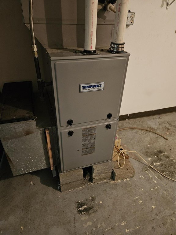 Picture 11