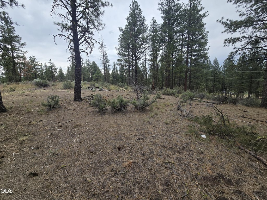 Picture 9