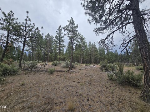 Residential Land Lot with Deeded River Access