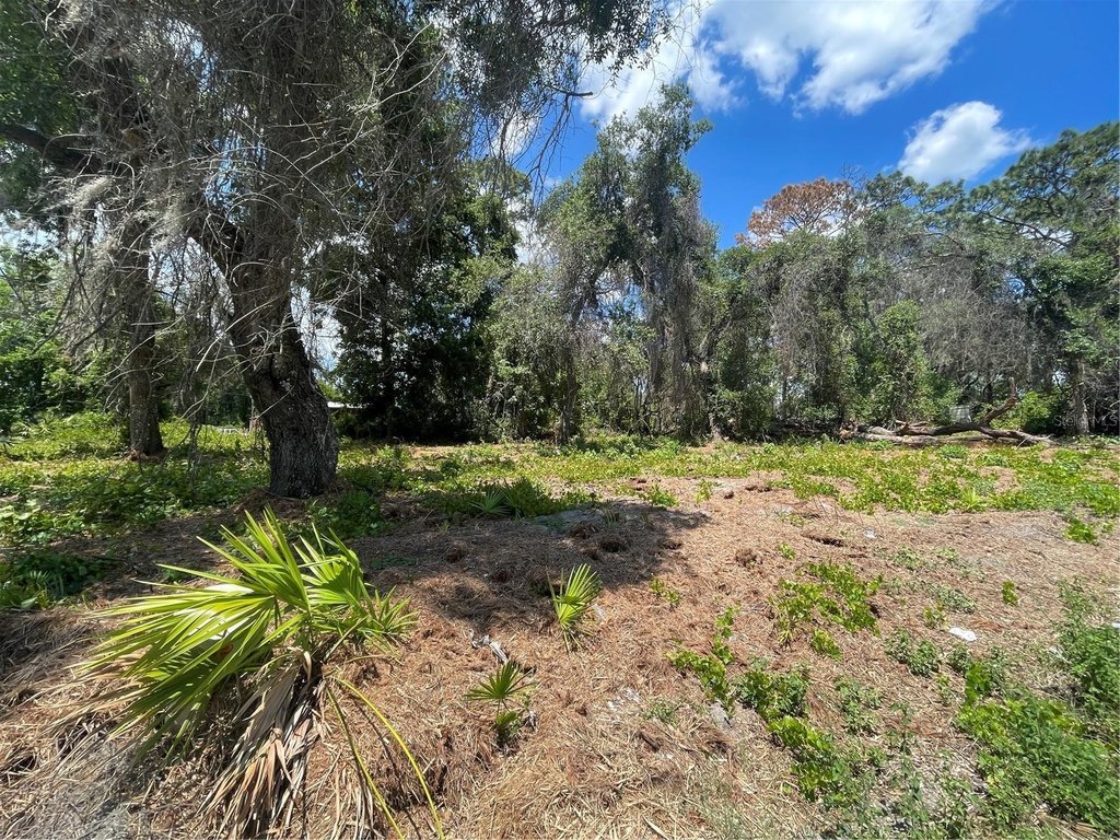 Picture 3