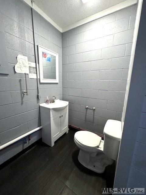 Picture 24