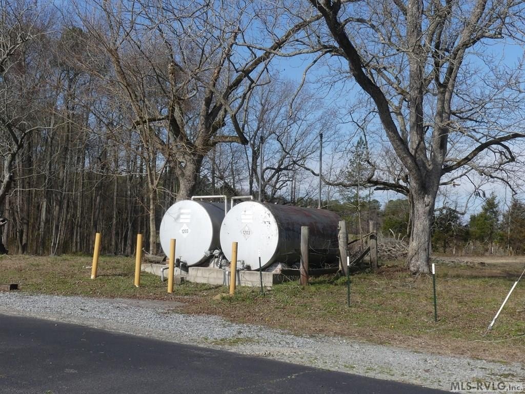 Picture 19