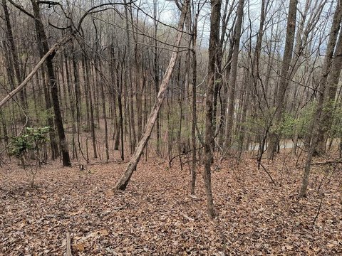 Gated Community Home Lot