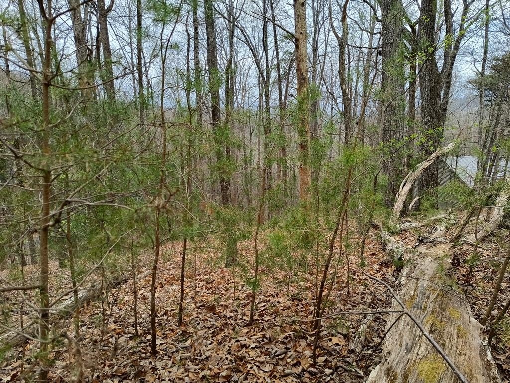 Picture 12