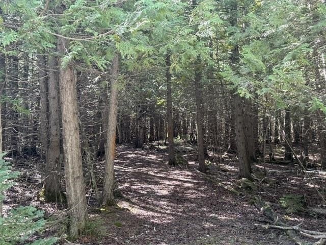 Picture 4