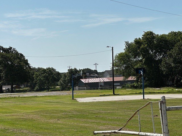 Picture 4