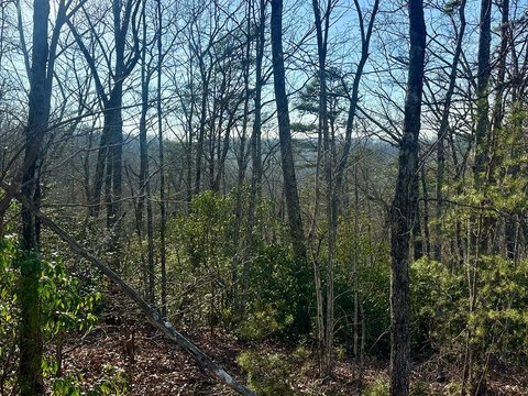 Vacant Lot, Blue Ridge, GA