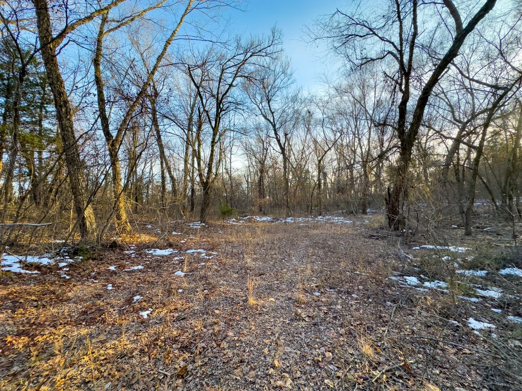 Picture 37