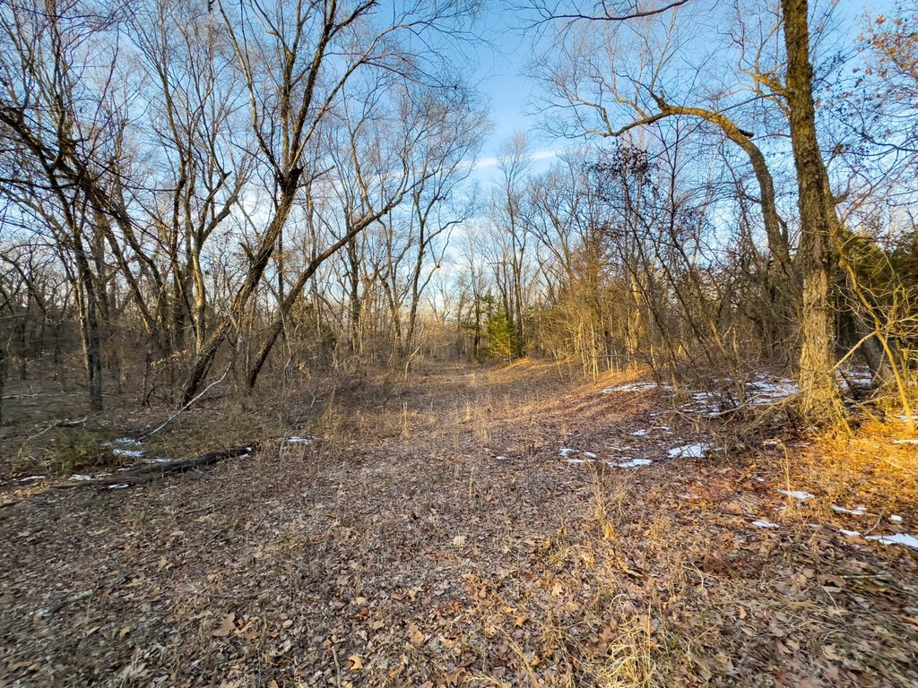 Picture 36