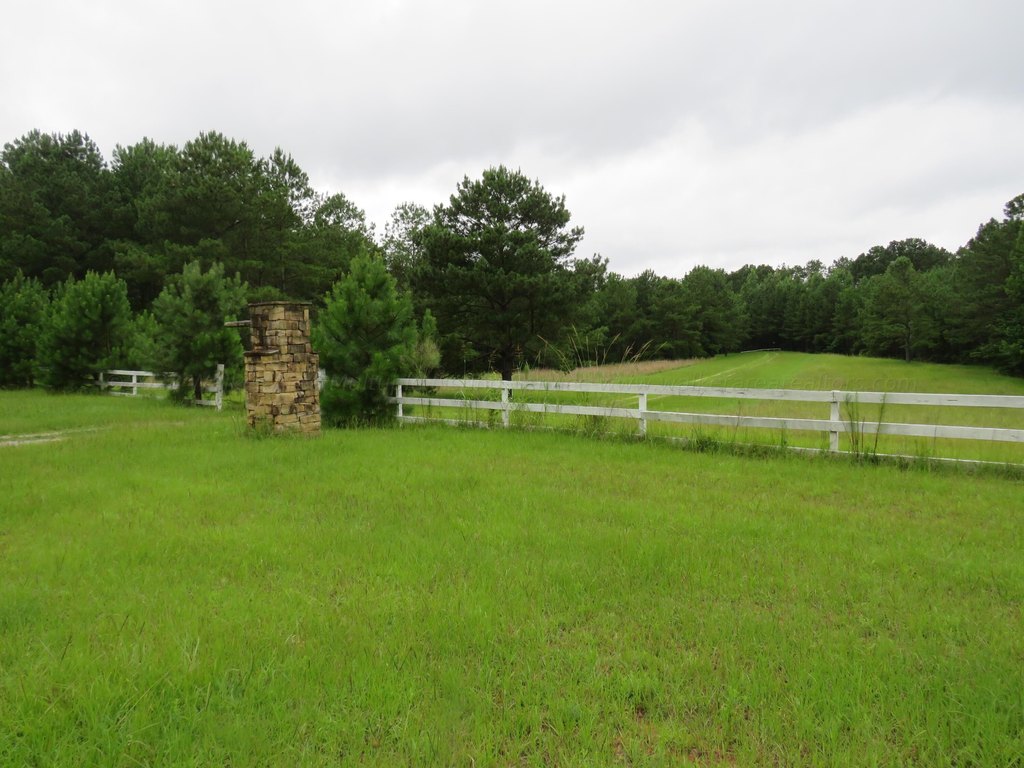 Picture 8