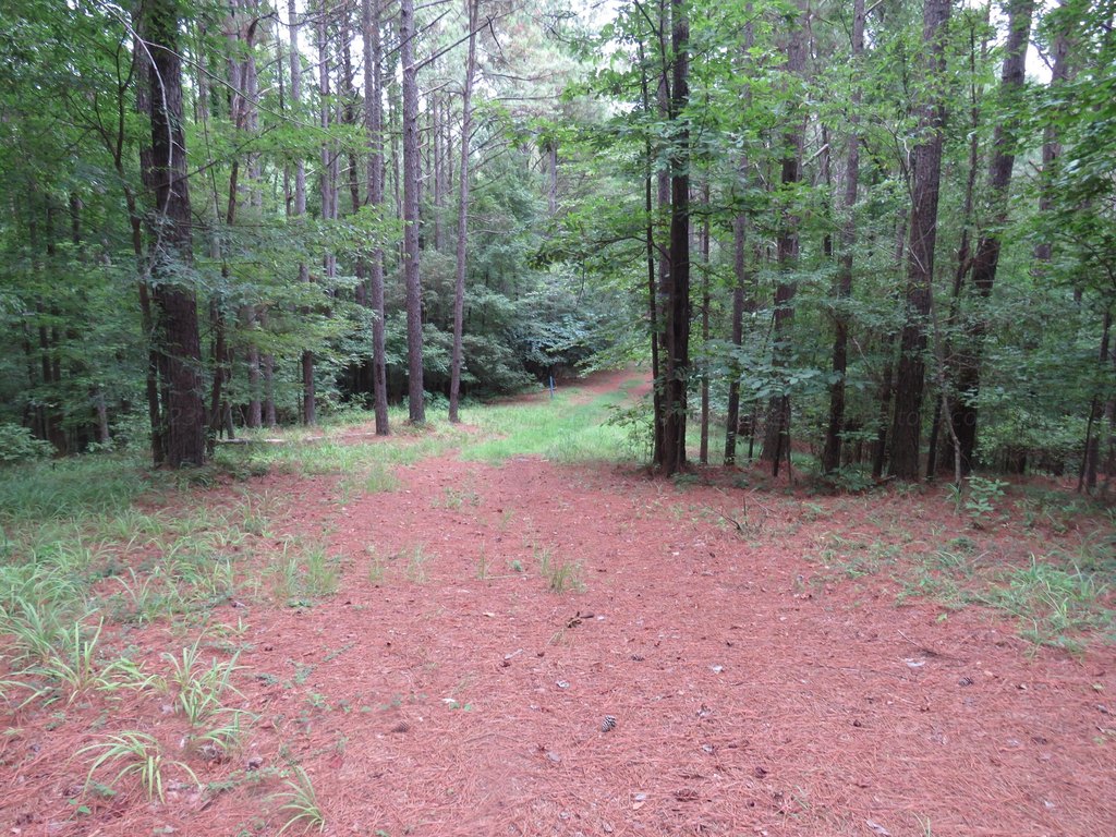 Picture 14