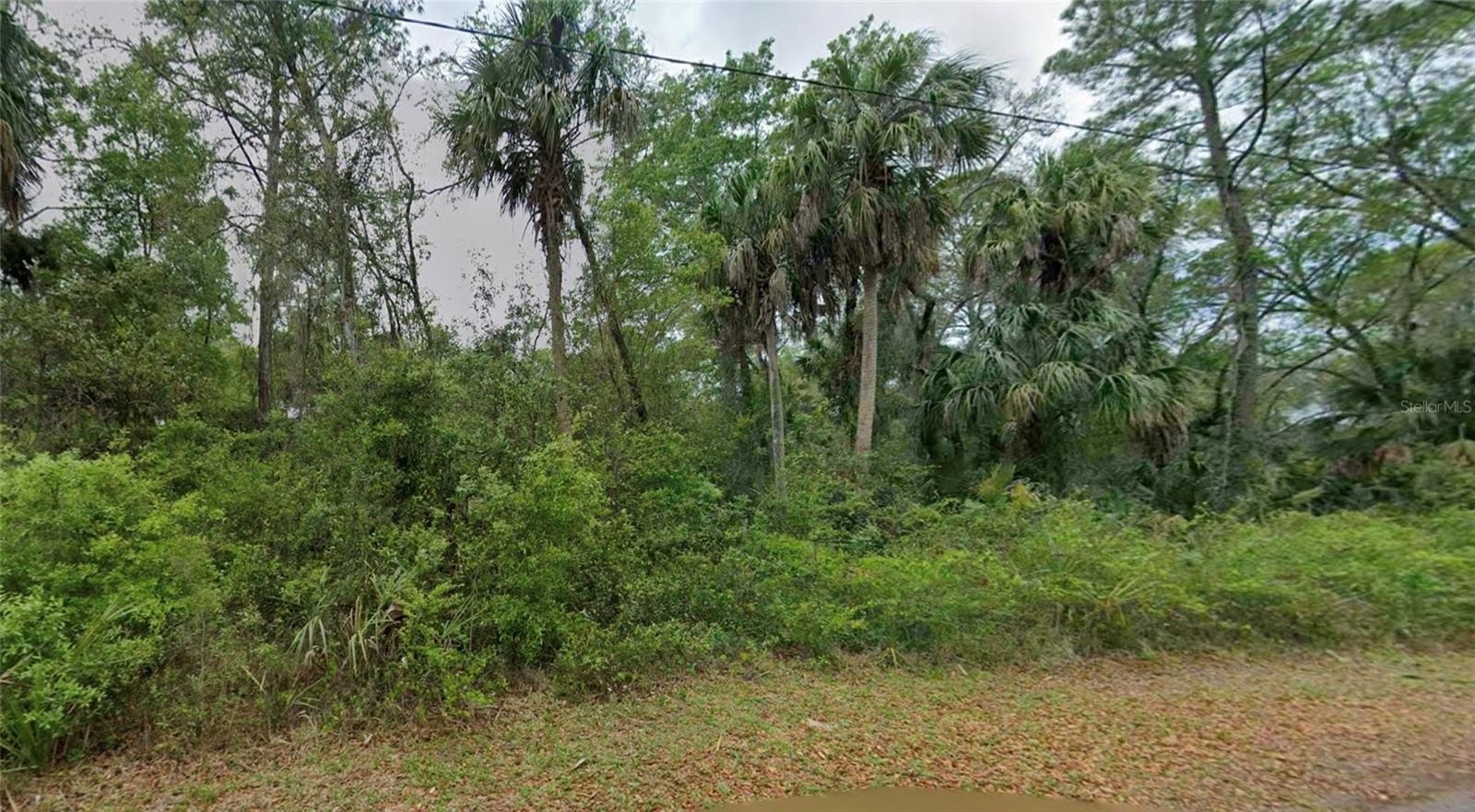 Vacant Land in Crystal River