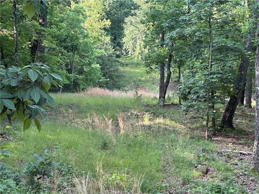 Picture 14