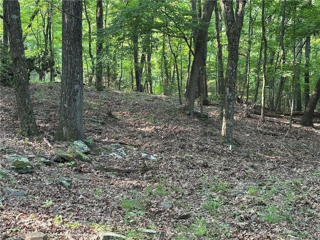 Picture 26