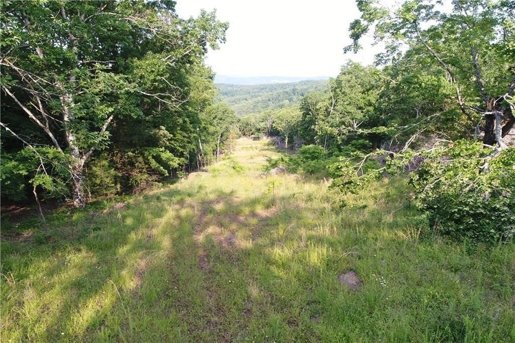 Picture 30