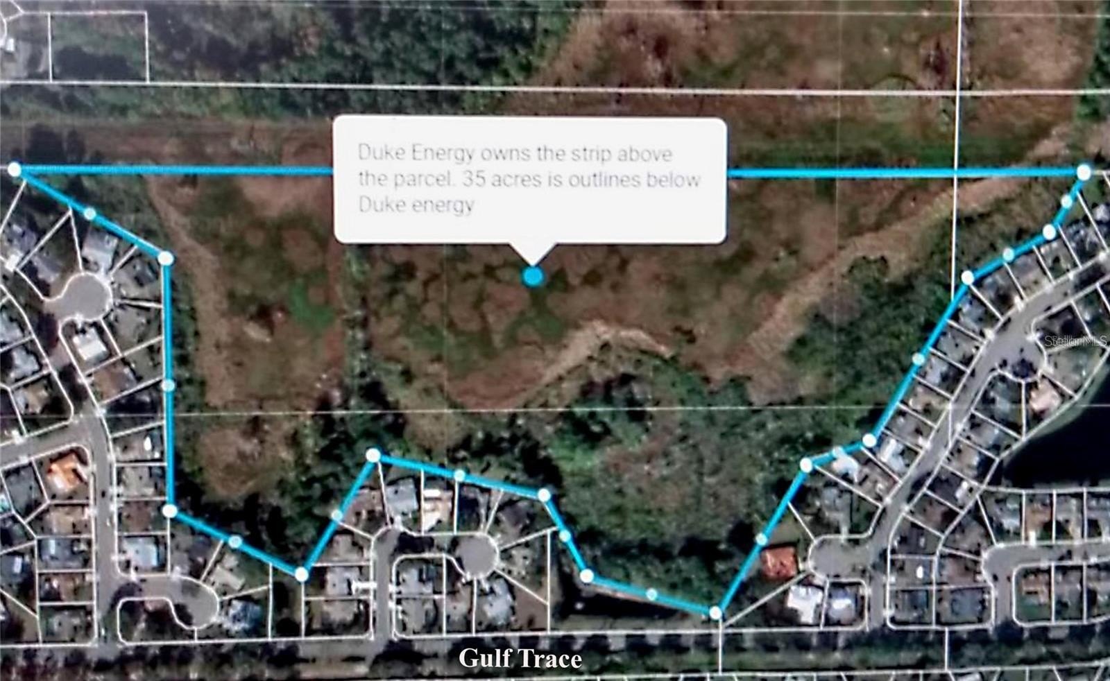 35.6 Acres in Holiday, FL