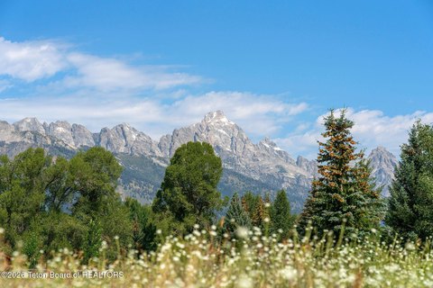 LAND - Jackson, WY