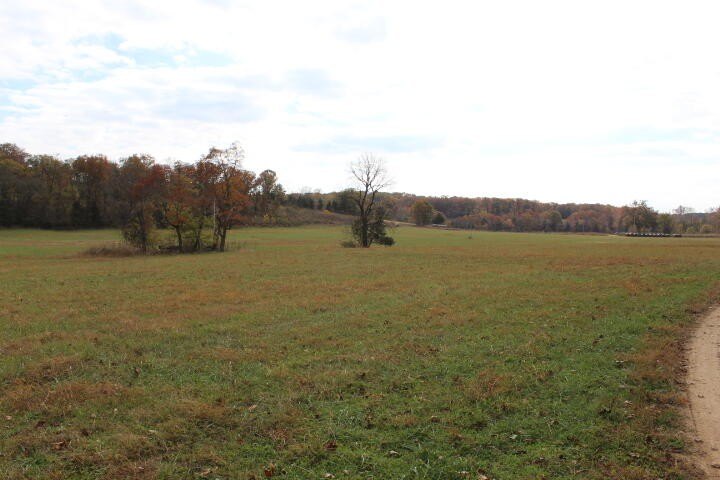 Picture 27