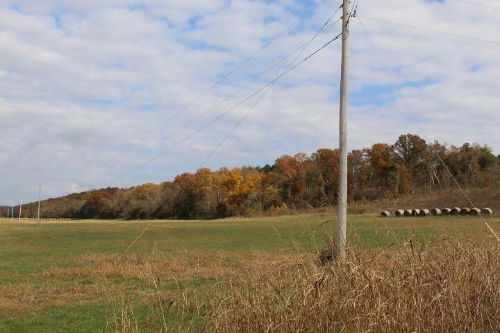 Picture 34