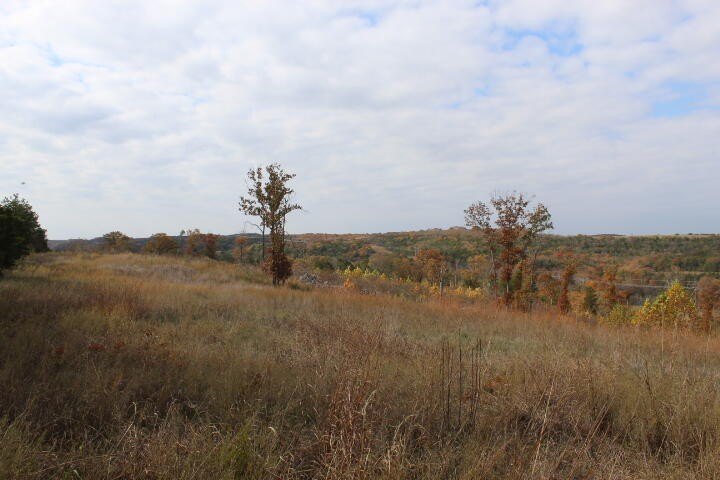 Picture 17