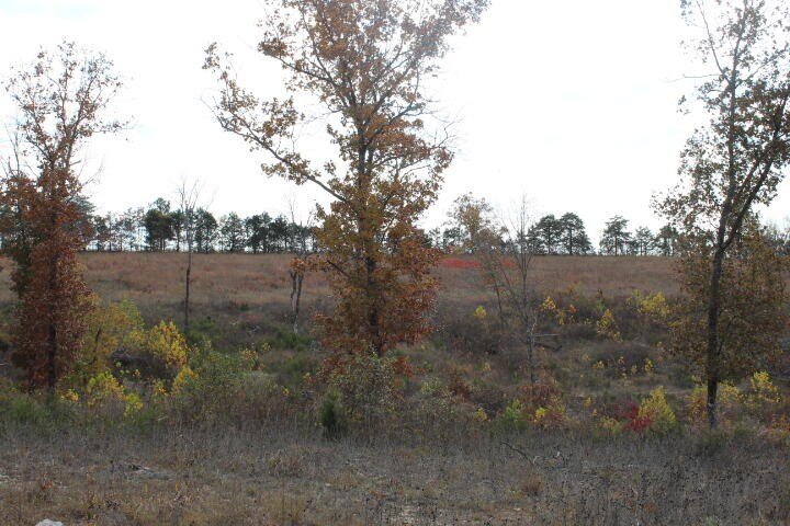 Picture 7