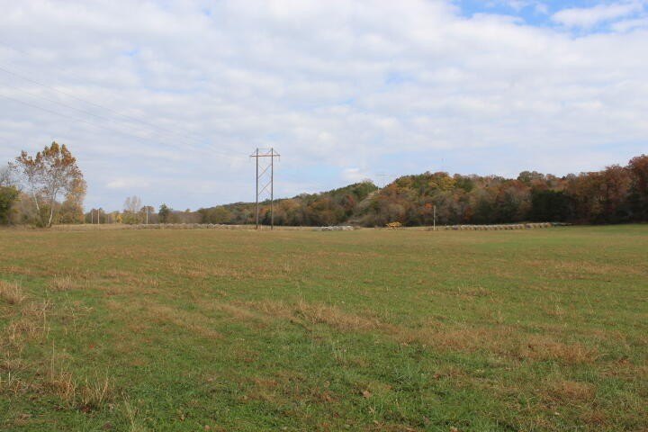 Picture 22