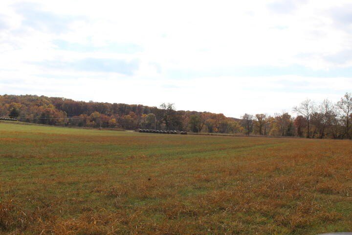 Picture 30