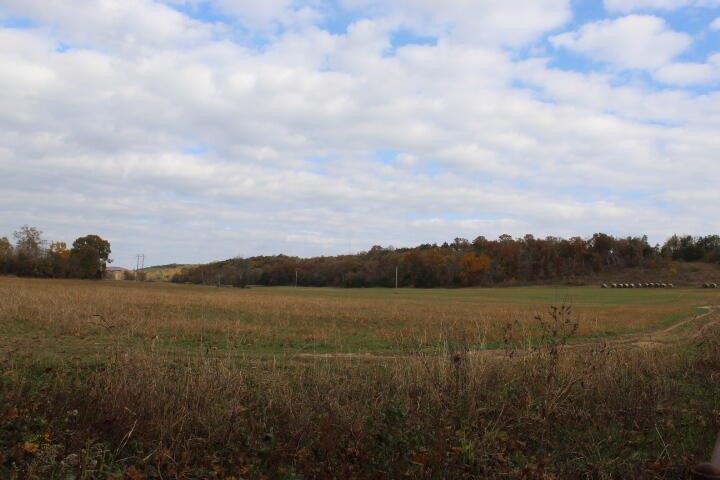 Picture 38