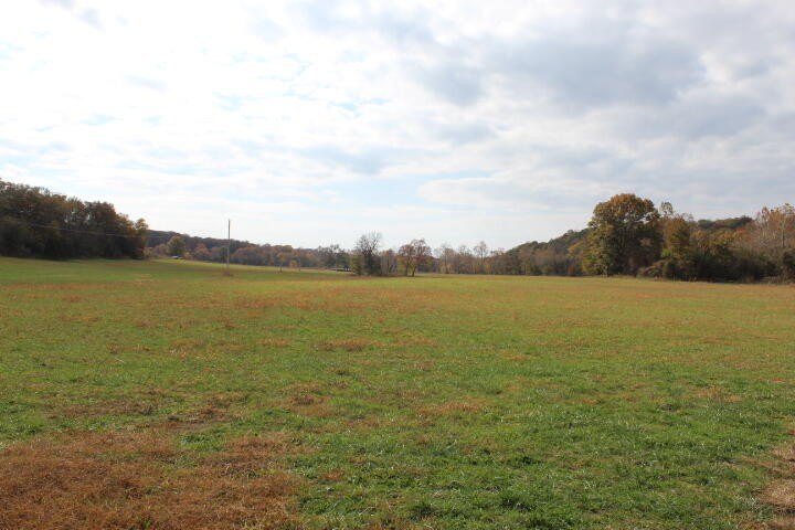 Picture 21