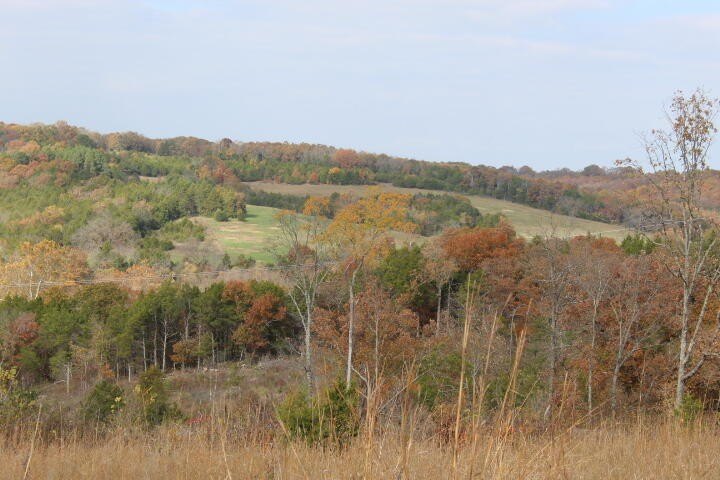 Picture 16
