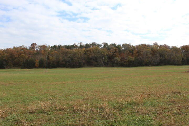 Picture 24