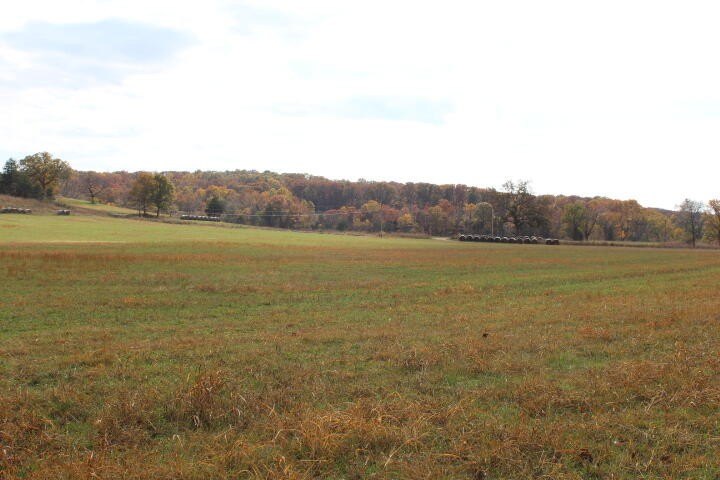 Picture 29