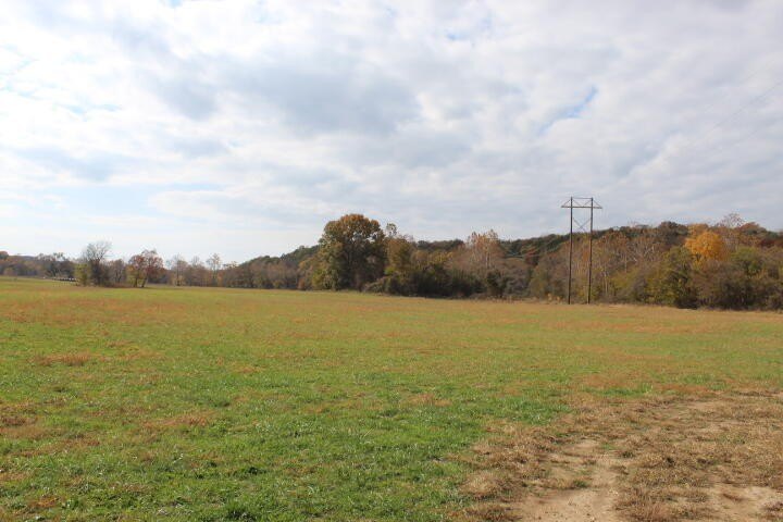 Picture 20