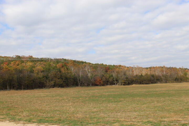 Picture 35