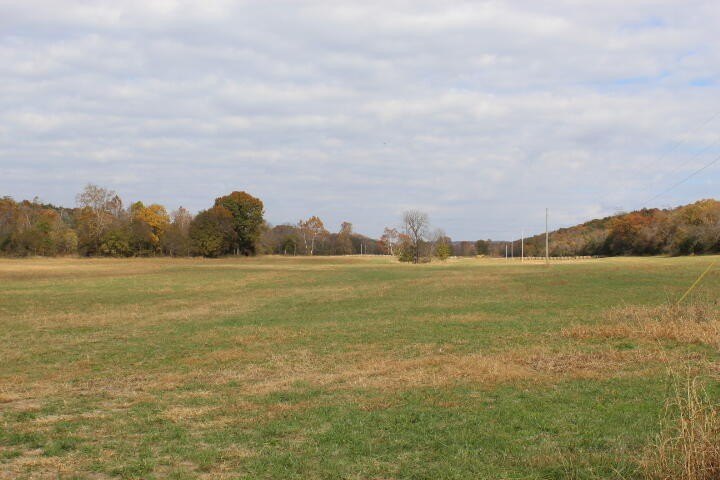 Picture 33
