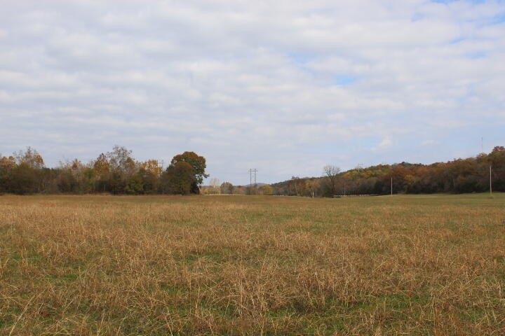 Picture 31