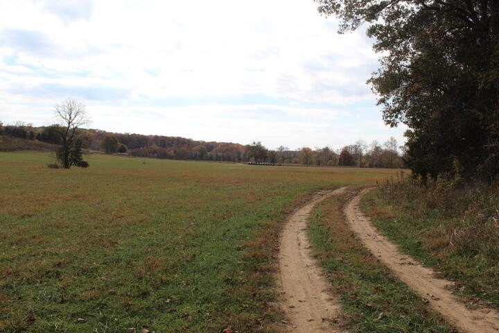 Picture 26