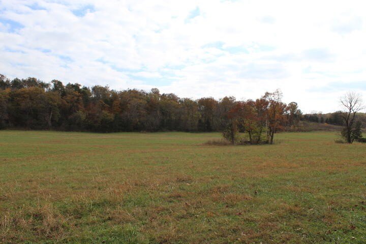 Picture 25