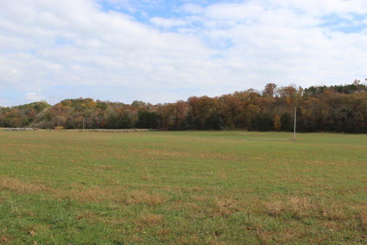 Picture 23