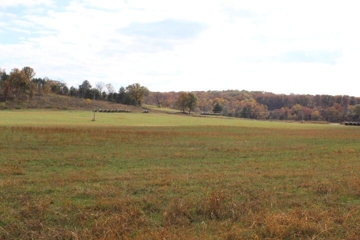 Picture 28