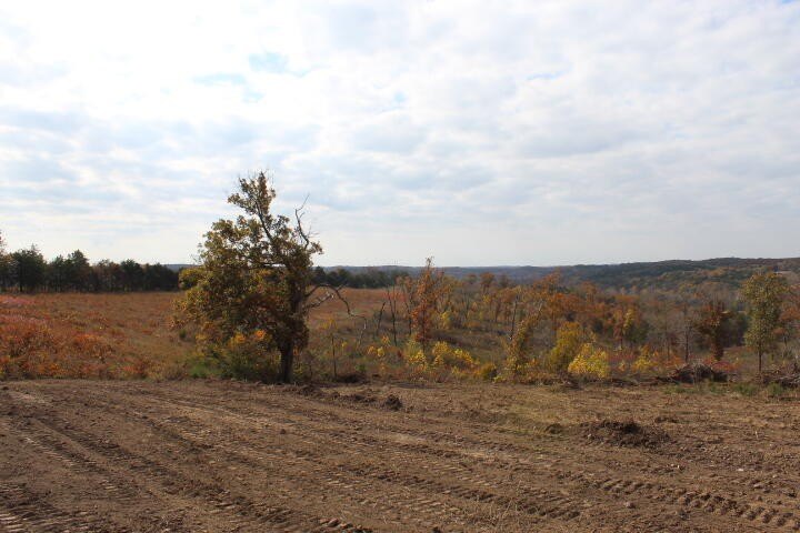 Picture 12